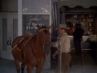 Click to watch 'Horse Stealing on Fifth...' (popup) McCloud